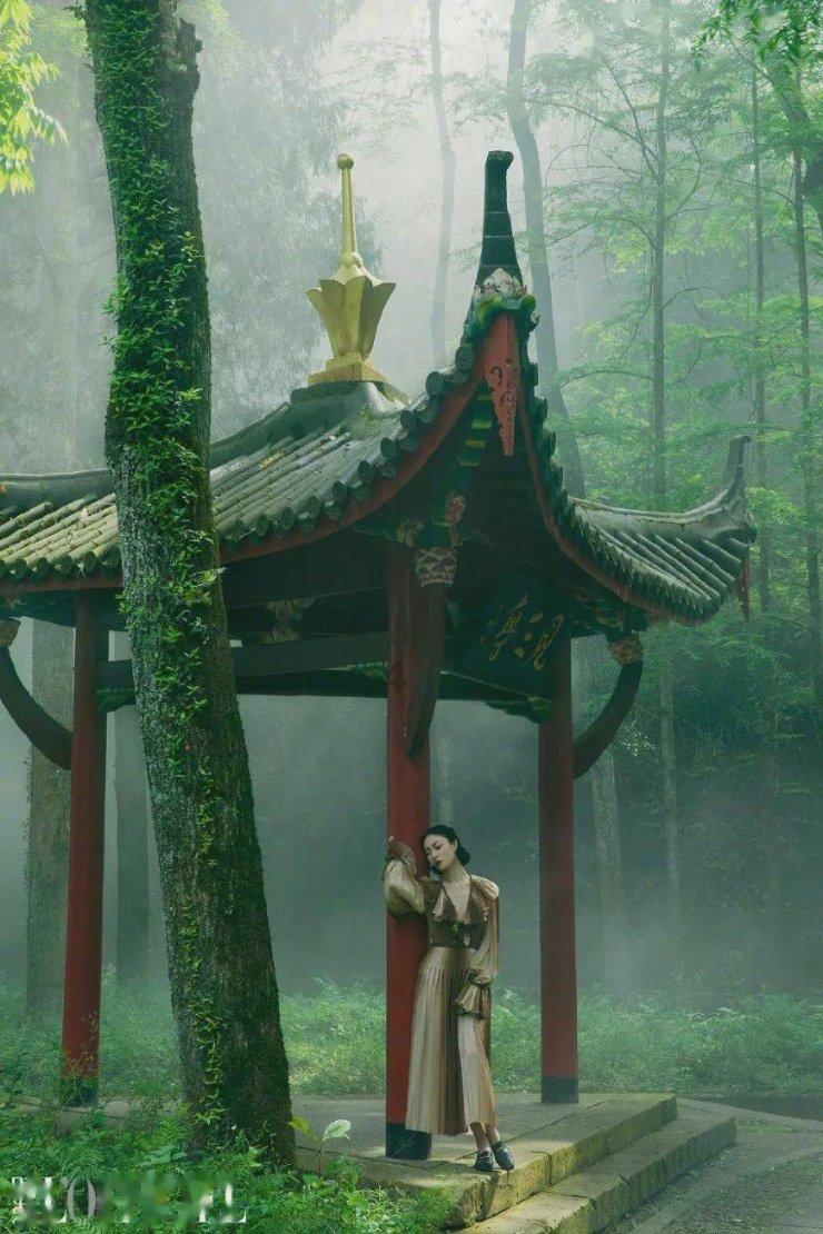 腐草化萤