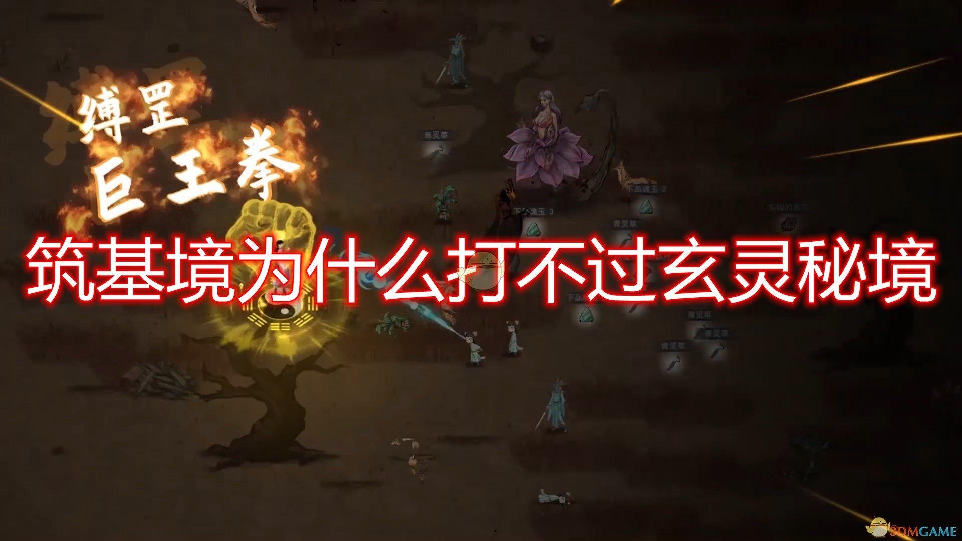 月光影视