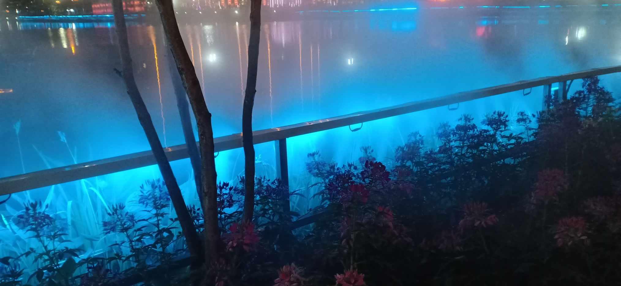 吃水果的蛇