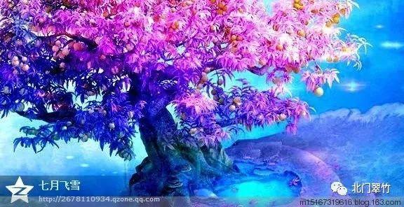 深入探索三年级的单位进率和四年级的小数点移位有关联吗?,尽在知识星球